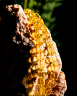 ⁦كهرمان طبيعي شفاف - لوقو الخالدي⁩ - الصورة ⁦3⁩